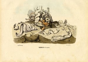 Escargots de mer, 1863-79 - Raimundo Petraroja